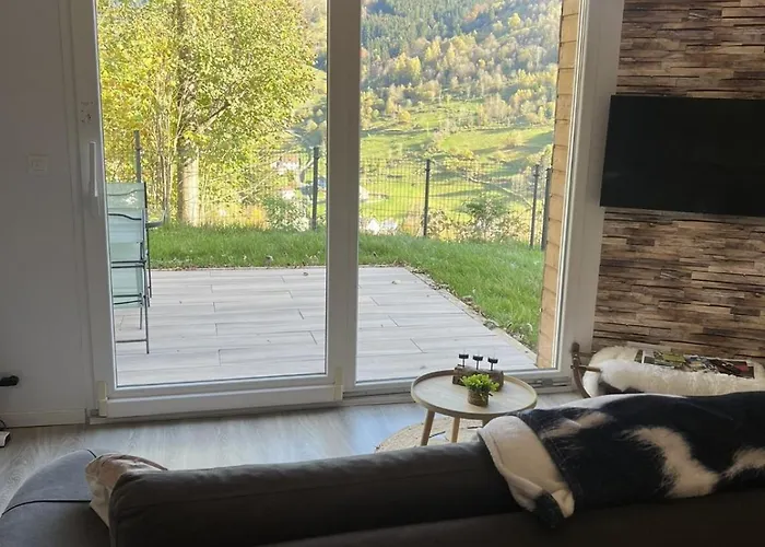 Appartement Calme La Bresse Animaux Admis